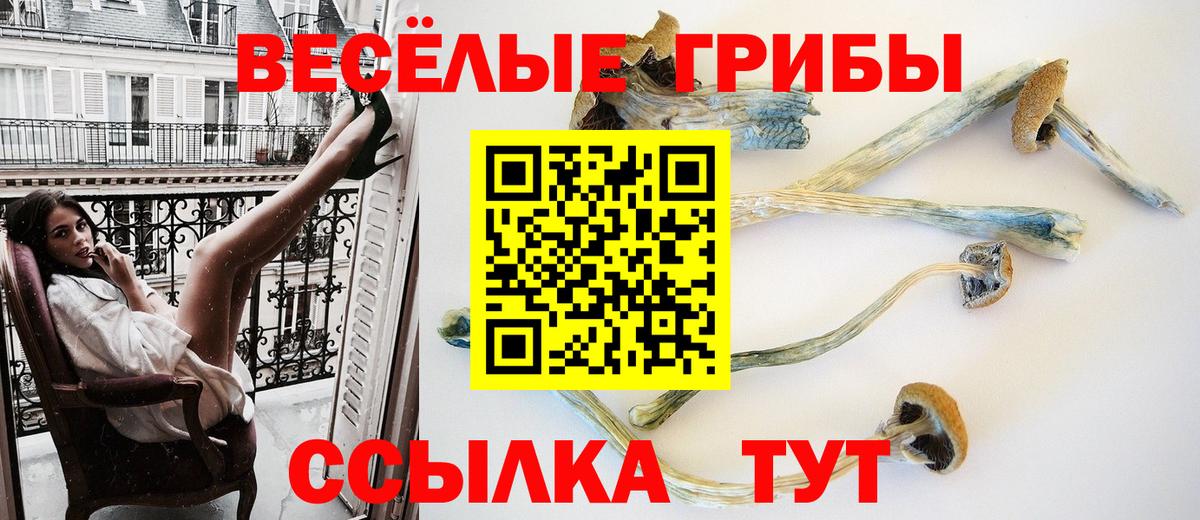 Псилоцибиновые грибы ЛСД Краснодар
