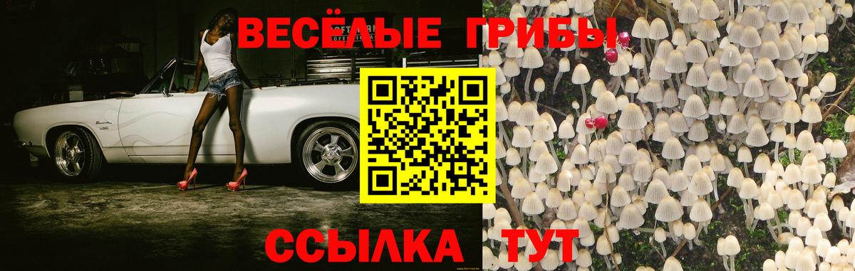 Галлюциногенные грибы Psilocybe  Псилоцибиновые грибы Magic Shrooms  Краснодар  Вход с VPN 